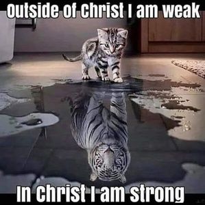 Meet your Posher, Ruby